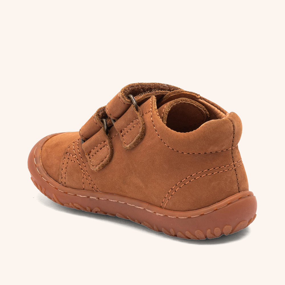 bisgaard hale v camel
